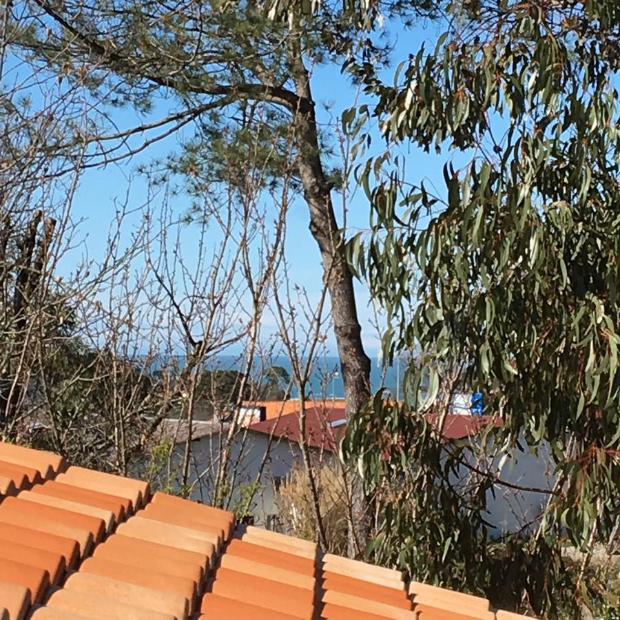 Maison Arbolateia Avec Piscine Et Spa Bidart Εξωτερικό φωτογραφία