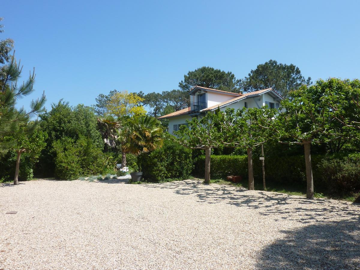Maison Arbolateia Avec Piscine Et Spa Bidart Εξωτερικό φωτογραφία