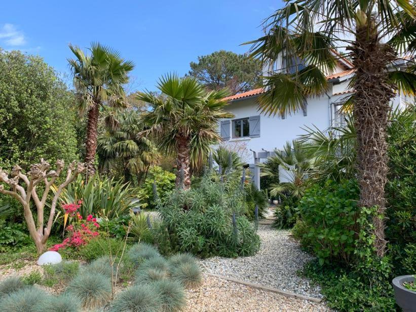 Maison Arbolateia Avec Piscine Et Spa Bidart Εξωτερικό φωτογραφία
